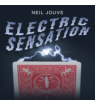 Electric Sensation by Neil Jouve (Red Bicycle Back)