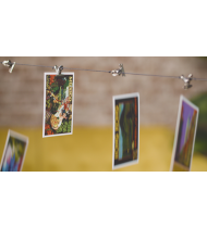 hover image