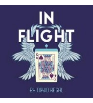 In Flight by David Regal In Flight by David Regal