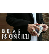 Blink Of An Eye by David Luu video DOWNLOAD