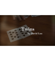 Twins by David Luu video DOWNLOAD