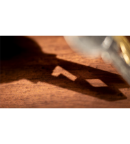 hover image