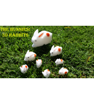 The Bunnies! 3D Rabbits (Parents, Kids & Grandpa)