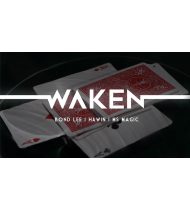 WAKEN by Bond Lee, Hawin & MS Magic